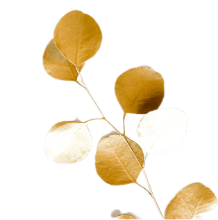 Decoration